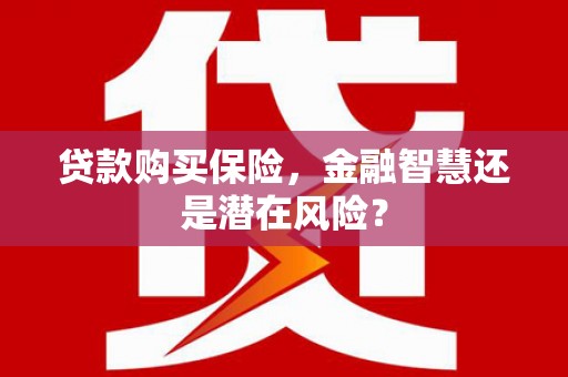 河津贷款购买保险，金融智慧还是潜在风险？