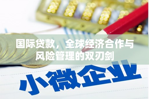 河津国际贷款，全球经济合作与风险管理的双刃剑