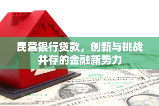 河津民营银行贷款，创新与挑战并存的金融新势力