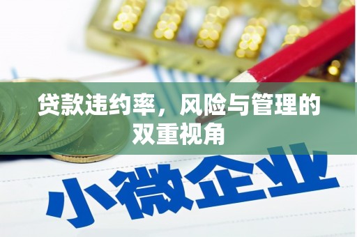 河津贷款违约率，风险与管理的双重视角
