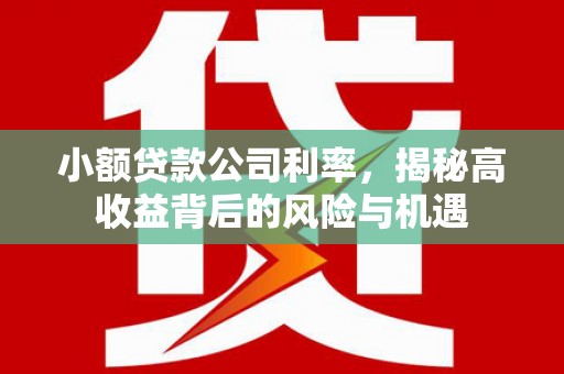 河津小额贷款公司利率，揭秘高收益背后的风险与机遇