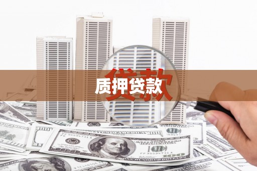河津质押贷款