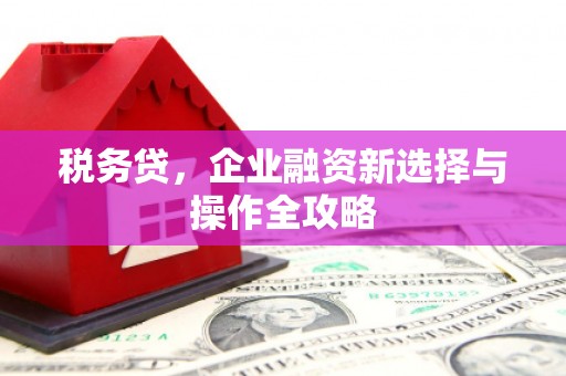 河津税务贷，企业融资新选择与操作全攻略
