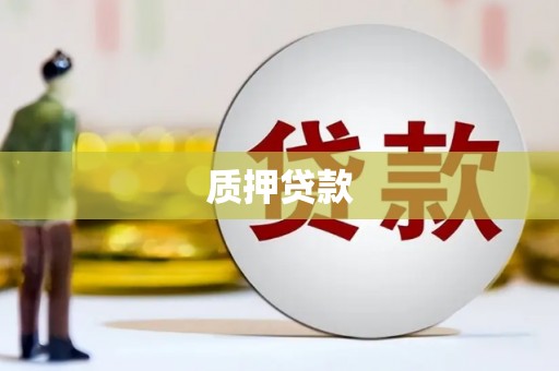 河津质押贷款