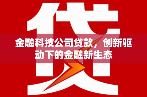 河津金融科技公司贷款，创新驱动下的金融新生态