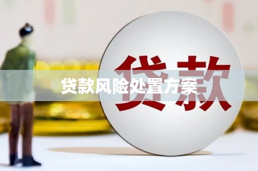 河津贷款风险处置方案