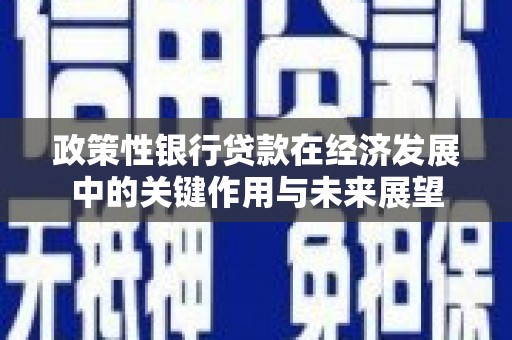 河津政策性银行贷款在经济发展中的关键作用与未来展望