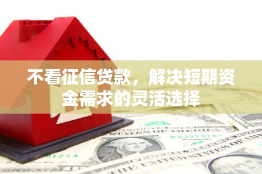河津不看征信贷款，解决短期资金需求的灵活选择