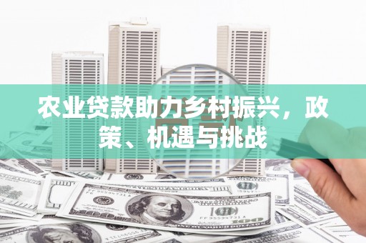 河津农业贷款助力乡村振兴，政策、机遇与挑战