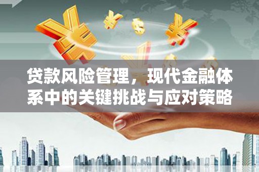 河津贷款风险管理，现代金融体系中的关键挑战与应对策略