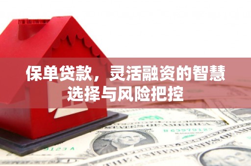 河津保单贷款，灵活融资的智慧选择与风险把控