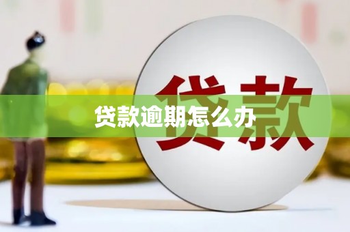 河津贷款逾期怎么办