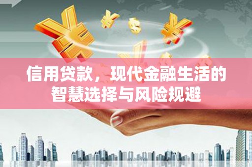 河津信用贷款，现代金融生活的智慧选择与风险规避