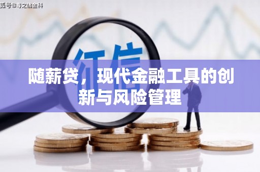 河津随薪贷，现代金融工具的创新与风险管理