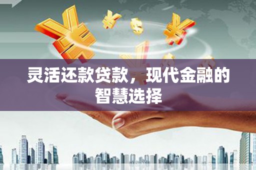 河津灵活还款贷款，现代金融的智慧选择