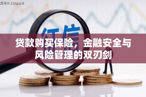 河津贷款购买保险，金融安全与风险管理的双刃剑