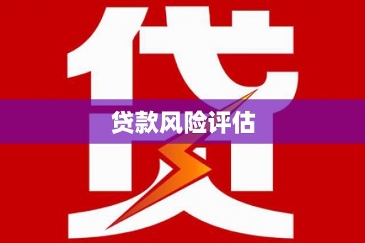 河津贷款风险评估
