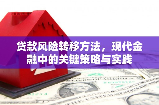 河津贷款风险转移方法，现代金融中的关键策略与实践