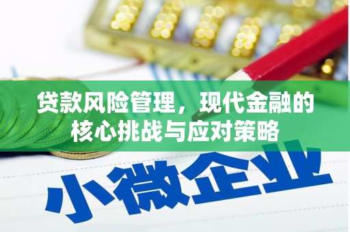 河津贷款风险管理，现代金融的核心挑战与应对策略