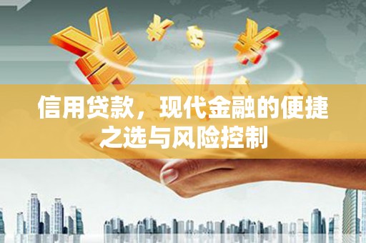 河津信用贷款，现代金融的便捷之选与风险控制