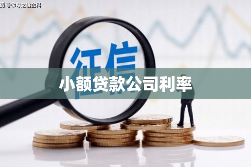 河津小额贷款公司利率