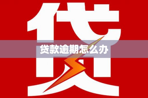 河津贷款逾期怎么办