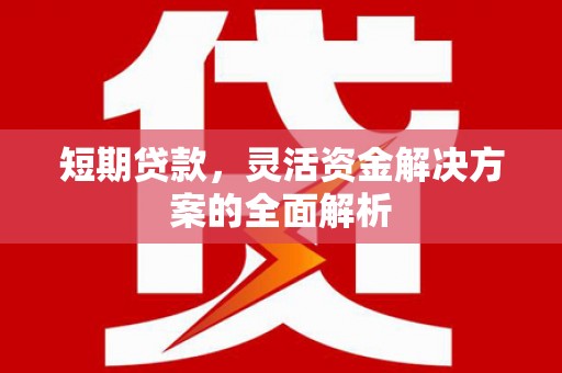 河津短期贷款，灵活资金解决方案的全面解析
