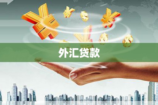 河津外汇贷款