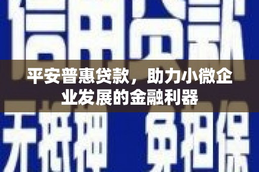 河津平安普惠贷款，助力小微企业发展的金融利器