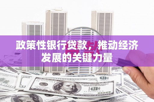 河津政策性银行贷款，推动经济发展的关键力量