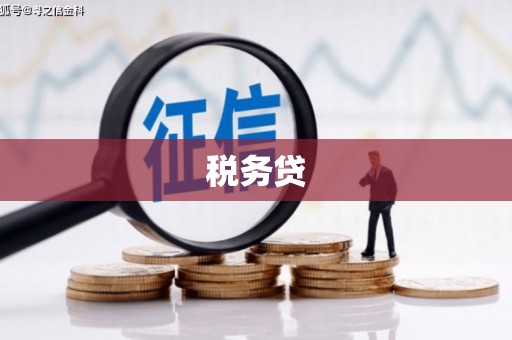 河津税务贷