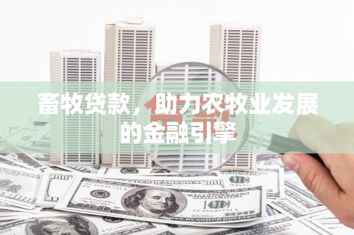 河津畜牧贷款，助力农牧业发展的金融引擎