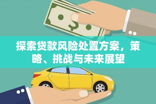 河津探索贷款风险处置方案，策略、挑战与未来展望