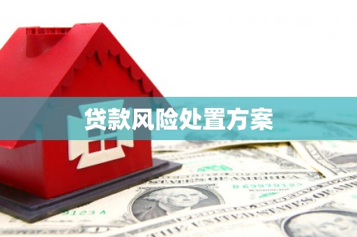 河津贷款风险处置方案