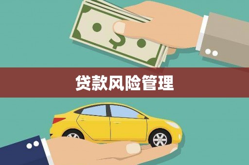 河津贷款风险管理