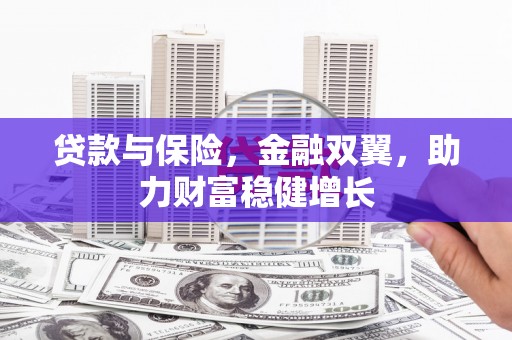 河津贷款与保险，金融双翼，助力财富稳健增长