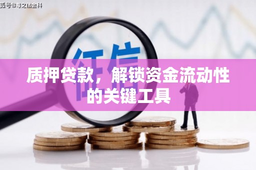 河津质押贷款，解锁资金流动性的关键工具