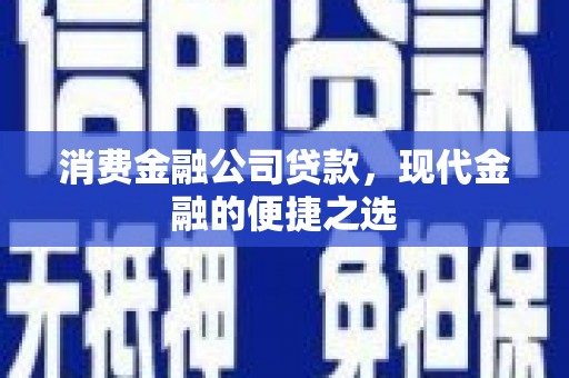 河津消费金融公司贷款，现代金融的便捷之选