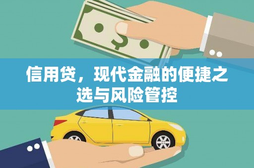河津信用贷，现代金融的便捷之选与风险管控