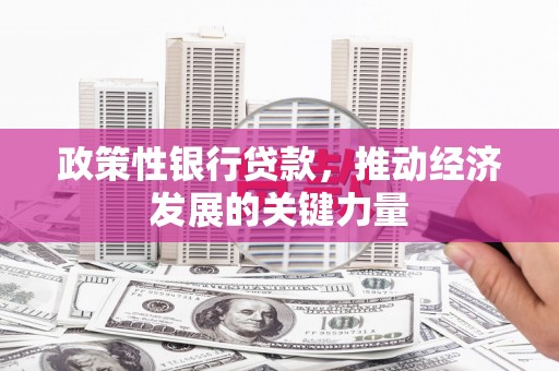 河津政策性银行贷款，推动经济发展的关键力量