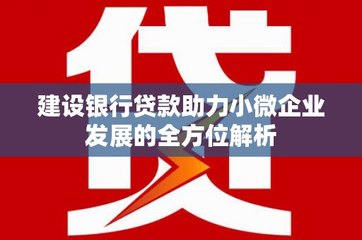 河津建设银行贷款助力小微企业发展的全方位解析