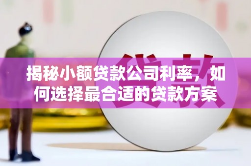 河津揭秘小额贷款公司利率，如何选择最合适的贷款方案