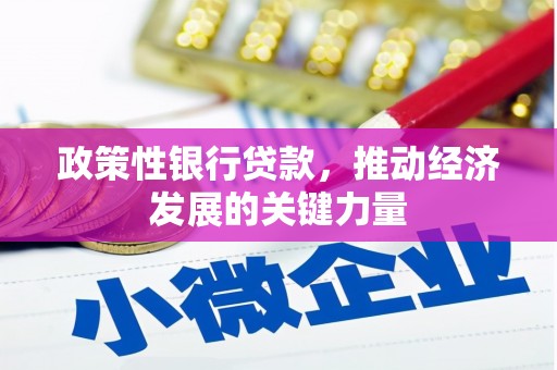 河津政策性银行贷款，推动经济发展的关键力量