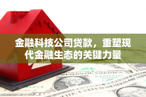 河津金融科技公司贷款，重塑现代金融生态的关键力量
