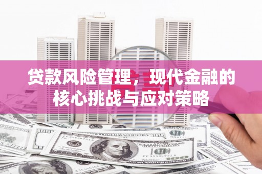 河津贷款风险管理，现代金融的核心挑战与应对策略