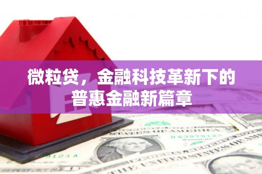 河津微粒贷，金融科技革新下的普惠金融新篇章