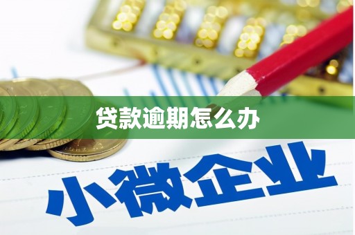 河津贷款逾期怎么办
