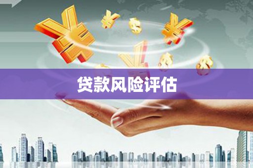 河津贷款风险评估