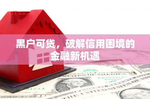 河津黑户可贷，破解信用困境的金融新机遇