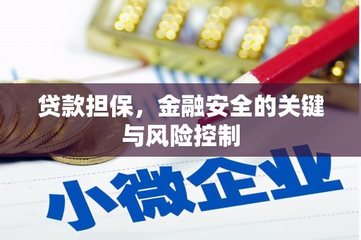 河津贷款担保，金融安全的关键与风险控制